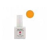 UV/LED SOAK OFF GEL POLISH 12ML #B059