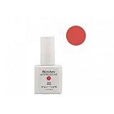 UV/LED SOAK OFF GEL POLISH 12ML #B095