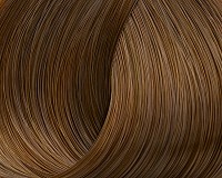 N.8.73 BEAUTY COLOR ΞΑΝΘΟ ΑΝΟΙΧΤΟ TOBACCO